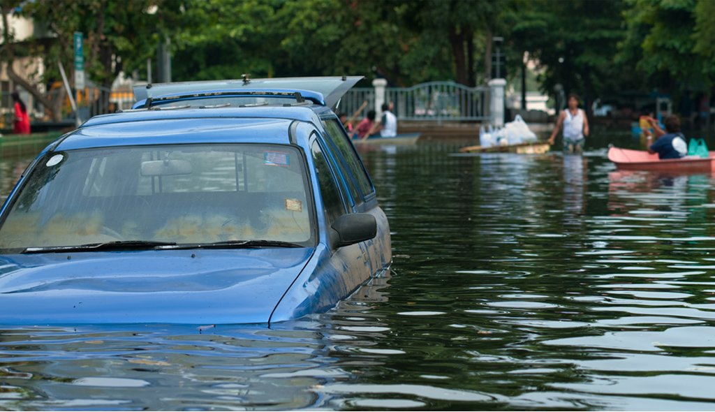Natural Disaster